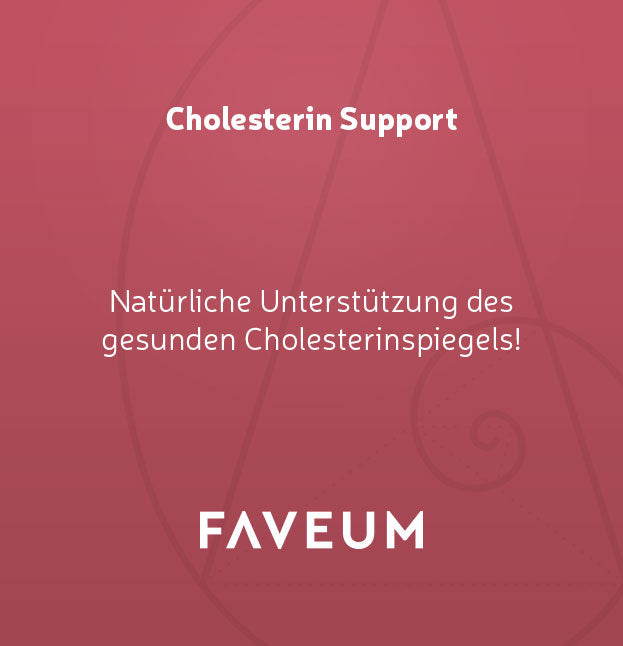 Cholesterin Support