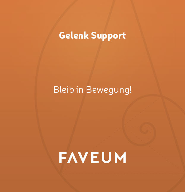 Gelenk Support